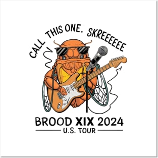 Entomology Cicada Brood XIX Skreeee 2024 Cicada Fest Posters and Art